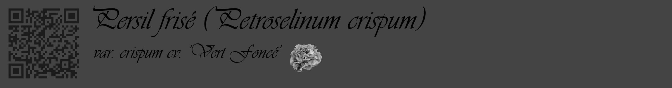 Étiquette de : Petroselinum crispum var. crispum cv. 'Vert Foncé' - format c - style noire48_basique_basiqueviv avec qrcode et comestibilité simplifiée