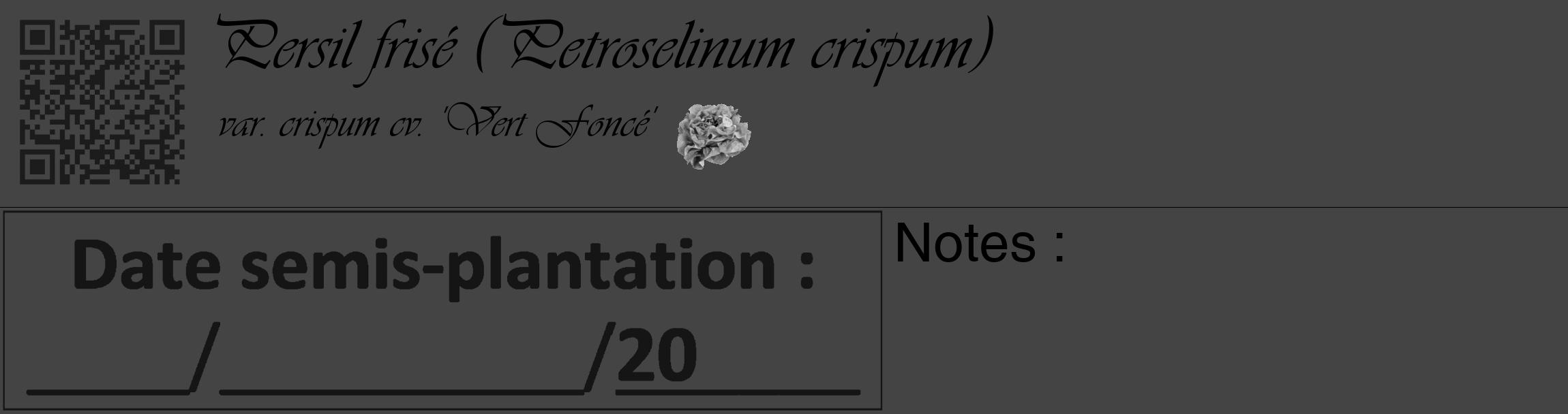 Étiquette de : Petroselinum crispum var. crispum cv. 'Vert Foncé' - format c - style noire48_basique_basiqueviv avec qrcode et comestibilité simplifiée