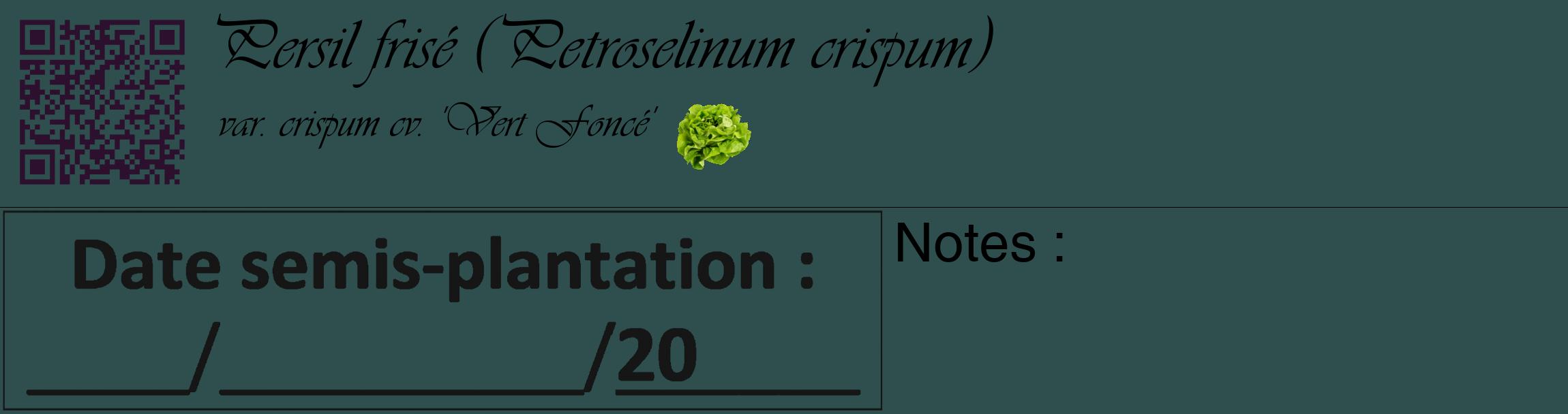 Étiquette de : Petroselinum crispum var. crispum cv. 'Vert Foncé' - format c - style noire58_basique_basiqueviv avec qrcode et comestibilité simplifiée