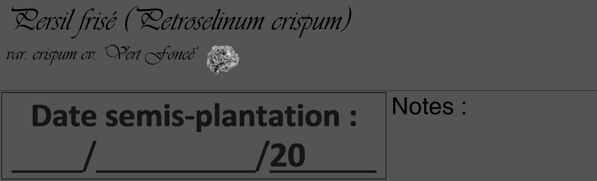 Étiquette de : Petroselinum crispum var. crispum cv. 'Vert Foncé' - format c - style noire30basique_basique_basiqueviv avec comestibilité simplifiée