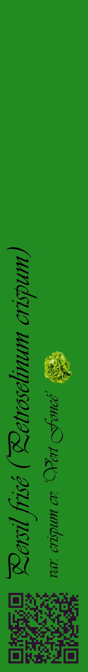 Étiquette de : Petroselinum crispum var. crispum cv. 'Vert Foncé' - format c - style noire10_basiqueviv avec qrcode et comestibilité simplifiée