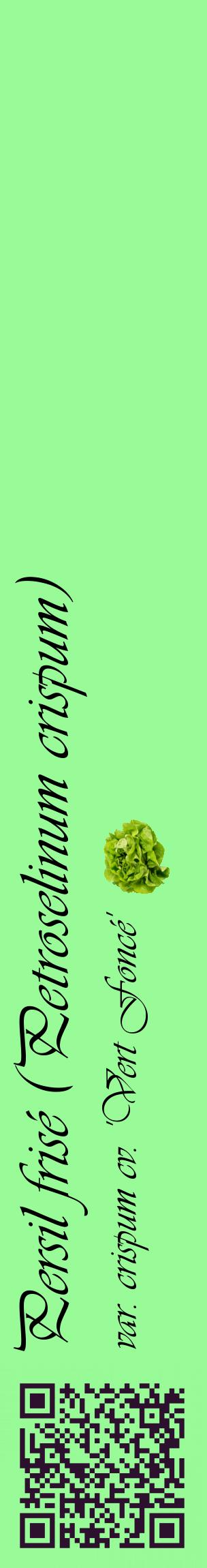 Étiquette de : Petroselinum crispum var. crispum cv. 'Vert Foncé' - format c - style noire14_basiqueviv avec qrcode et comestibilité simplifiée