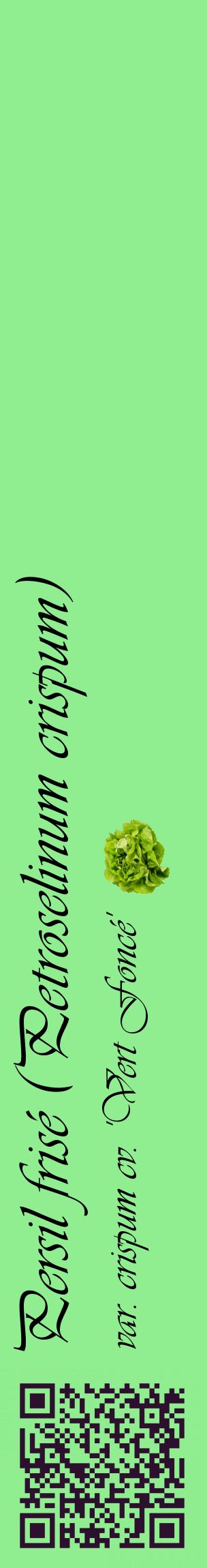 Étiquette de : Petroselinum crispum var. crispum cv. 'Vert Foncé' - format c - style noire15_basiqueviv avec qrcode et comestibilité simplifiée
