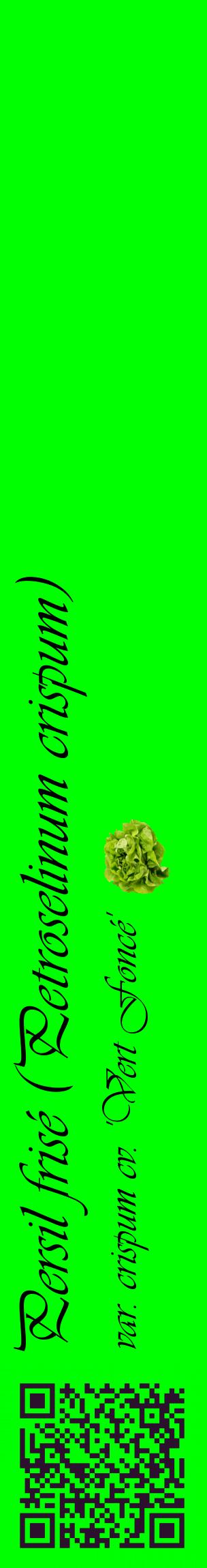 Étiquette de : Petroselinum crispum var. crispum cv. 'Vert Foncé' - format c - style noire16_basiqueviv avec qrcode et comestibilité simplifiée