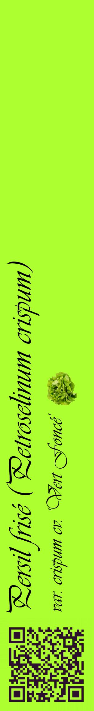Étiquette de : Petroselinum crispum var. crispum cv. 'Vert Foncé' - format c - style noire17_basiqueviv avec qrcode et comestibilité simplifiée
