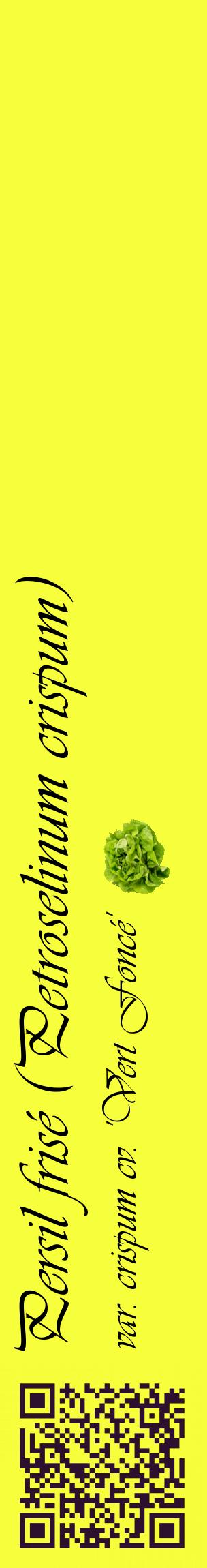 Étiquette de : Petroselinum crispum var. crispum cv. 'Vert Foncé' - format c - style noire18_basiqueviv avec qrcode et comestibilité simplifiée