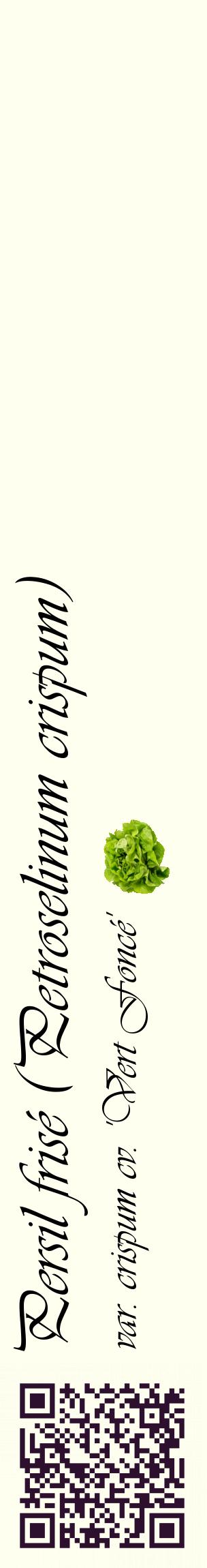 Étiquette de : Petroselinum crispum var. crispum cv. 'Vert Foncé' - format c - style noire19_basiqueviv avec qrcode et comestibilité simplifiée
