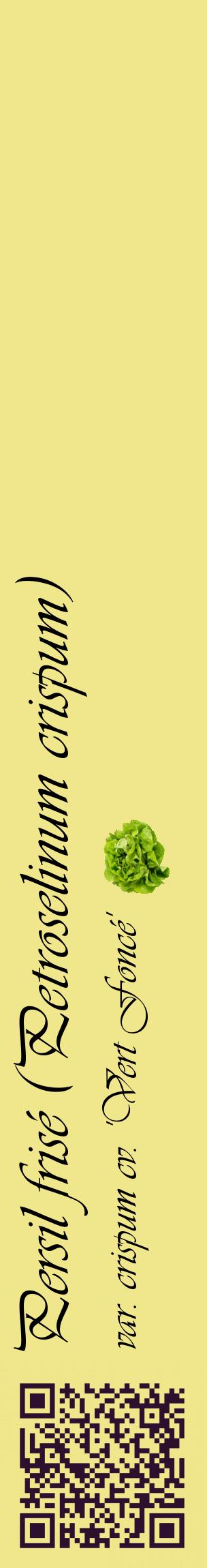Étiquette de : Petroselinum crispum var. crispum cv. 'Vert Foncé' - format c - style noire20_basiqueviv avec qrcode et comestibilité simplifiée