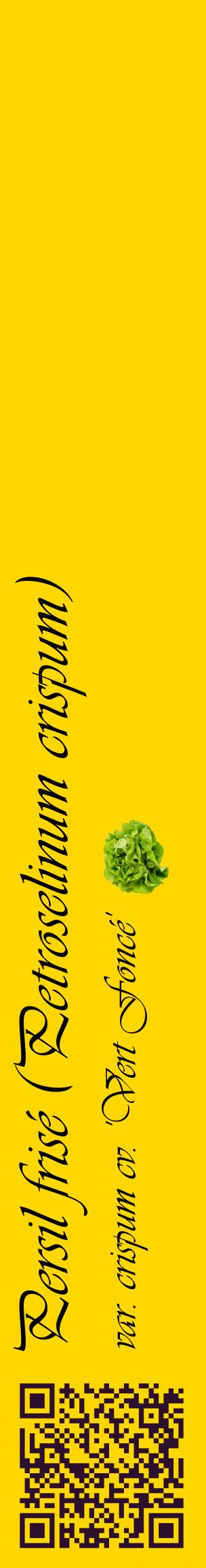Étiquette de : Petroselinum crispum var. crispum cv. 'Vert Foncé' - format c - style noire21_basiqueviv avec qrcode et comestibilité simplifiée