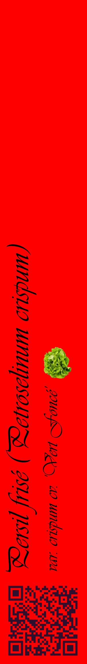 Étiquette de : Petroselinum crispum var. crispum cv. 'Vert Foncé' - format c - style noire27_basiqueviv avec qrcode et comestibilité simplifiée