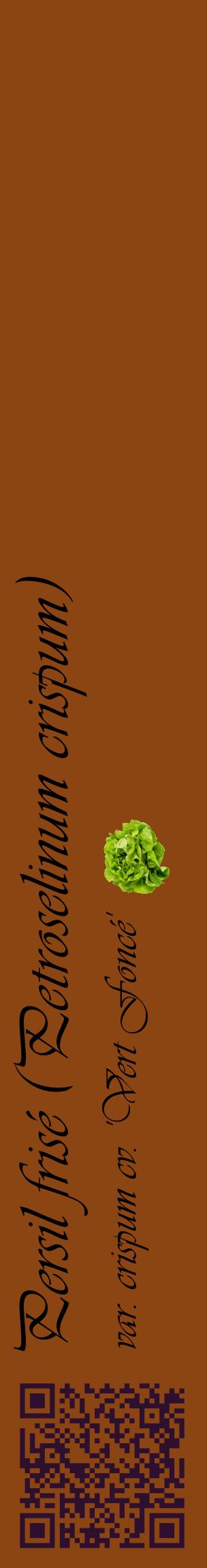 Étiquette de : Petroselinum crispum var. crispum cv. 'Vert Foncé' - format c - style noire30_basiqueviv avec qrcode et comestibilité simplifiée