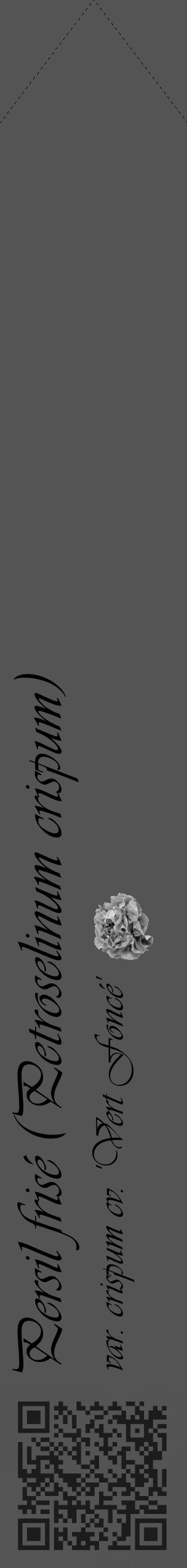 Étiquette de : Petroselinum crispum var. crispum cv. 'Vert Foncé' - format c - style noire30simple_basique_basiqueviv avec qrcode et comestibilité simplifiée - position verticale