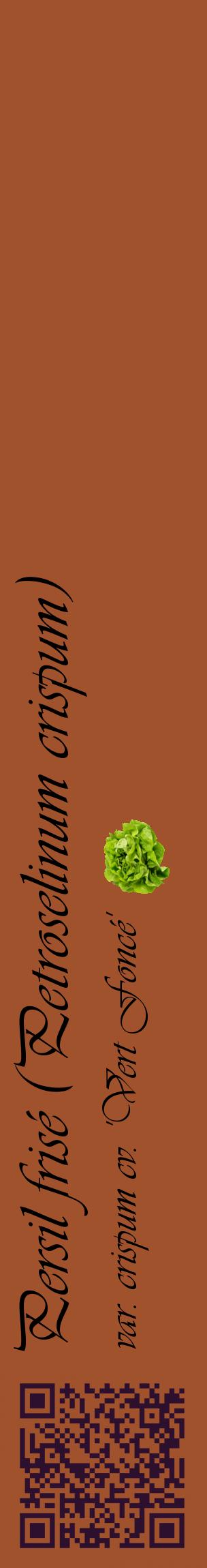 Étiquette de : Petroselinum crispum var. crispum cv. 'Vert Foncé' - format c - style noire32_basiqueviv avec qrcode et comestibilité simplifiée