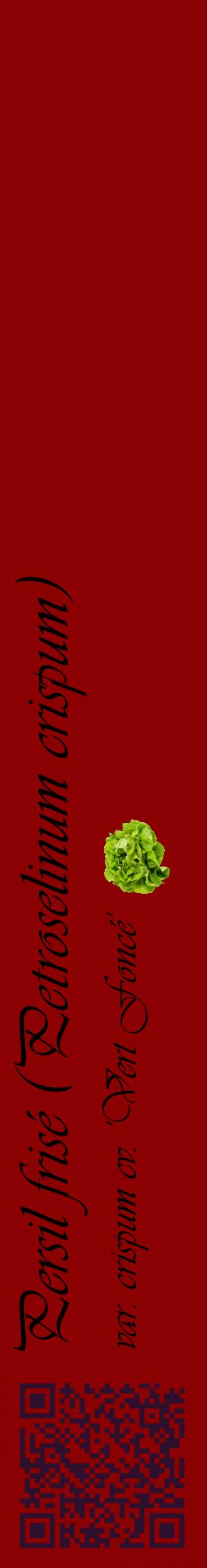 Étiquette de : Petroselinum crispum var. crispum cv. 'Vert Foncé' - format c - style noire34_basiqueviv avec qrcode et comestibilité simplifiée