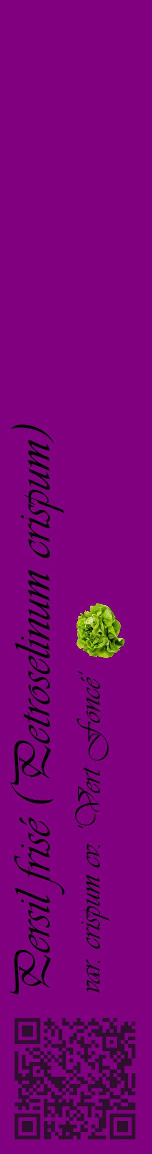 Étiquette de : Petroselinum crispum var. crispum cv. 'Vert Foncé' - format c - style noire46_basiqueviv avec qrcode et comestibilité simplifiée