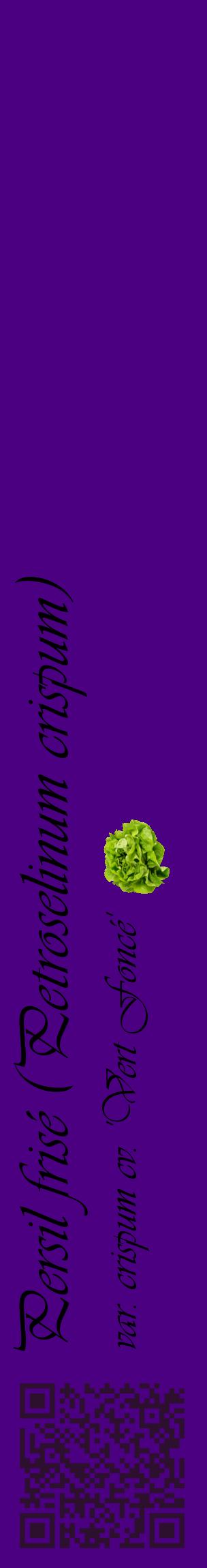 Étiquette de : Petroselinum crispum var. crispum cv. 'Vert Foncé' - format c - style noire47_basiqueviv avec qrcode et comestibilité simplifiée