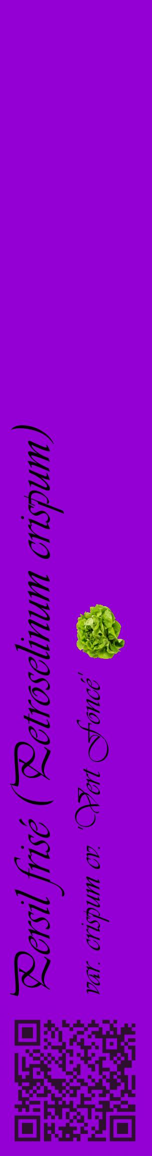 Étiquette de : Petroselinum crispum var. crispum cv. 'Vert Foncé' - format c - style noire48_basiqueviv avec qrcode et comestibilité simplifiée