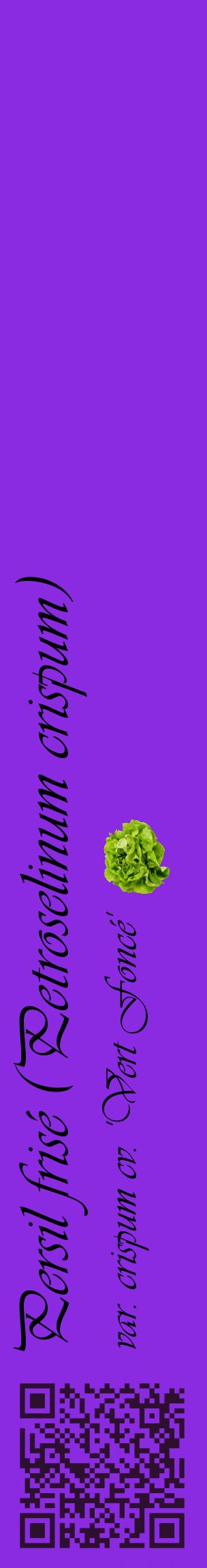 Étiquette de : Petroselinum crispum var. crispum cv. 'Vert Foncé' - format c - style noire49_basiqueviv avec qrcode et comestibilité simplifiée