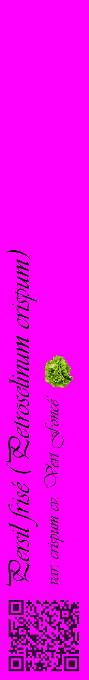 Étiquette de : Petroselinum crispum var. crispum cv. 'Vert Foncé' - format c - style noire51_basiqueviv avec qrcode et comestibilité simplifiée