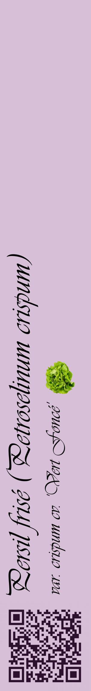 Étiquette de : Petroselinum crispum var. crispum cv. 'Vert Foncé' - format c - style noire54_basiqueviv avec qrcode et comestibilité simplifiée