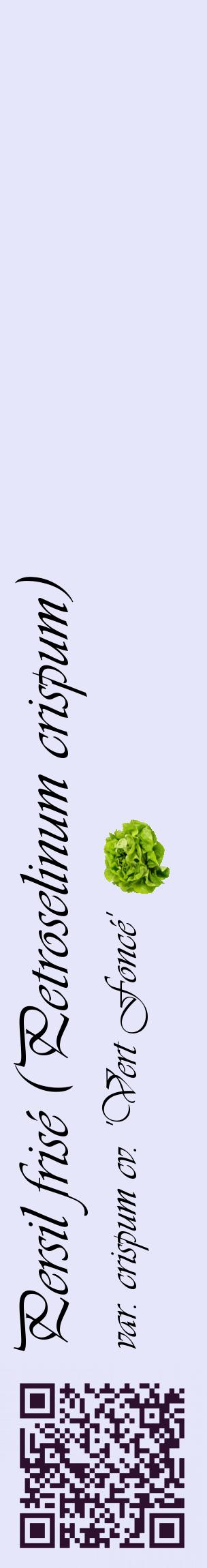 Étiquette de : Petroselinum crispum var. crispum cv. 'Vert Foncé' - format c - style noire55_basiqueviv avec qrcode et comestibilité simplifiée