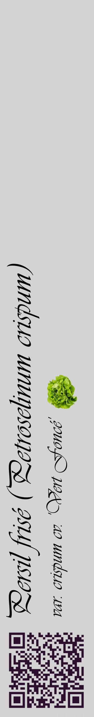 Étiquette de : Petroselinum crispum var. crispum cv. 'Vert Foncé' - format c - style noire56_basiqueviv avec qrcode et comestibilité simplifiée