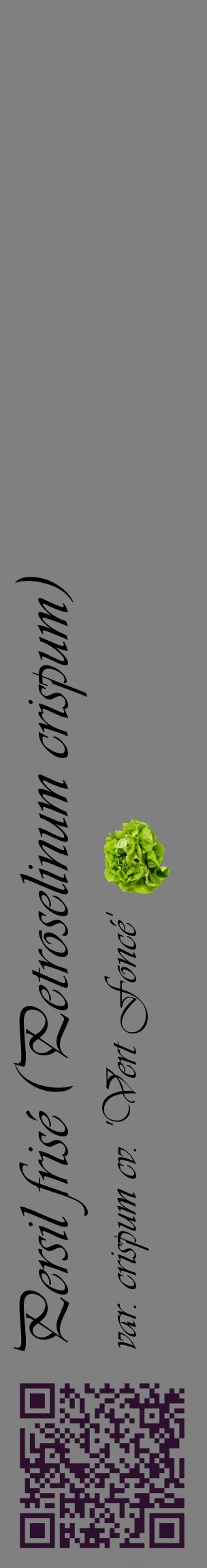Étiquette de : Petroselinum crispum var. crispum cv. 'Vert Foncé' - format c - style noire57_basiqueviv avec qrcode et comestibilité simplifiée