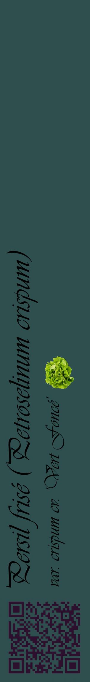 Étiquette de : Petroselinum crispum var. crispum cv. 'Vert Foncé' - format c - style noire58_basiqueviv avec qrcode et comestibilité simplifiée