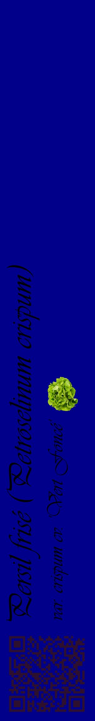 Étiquette de : Petroselinum crispum var. crispum cv. 'Vert Foncé' - format c - style noire7_basiqueviv avec qrcode et comestibilité simplifiée