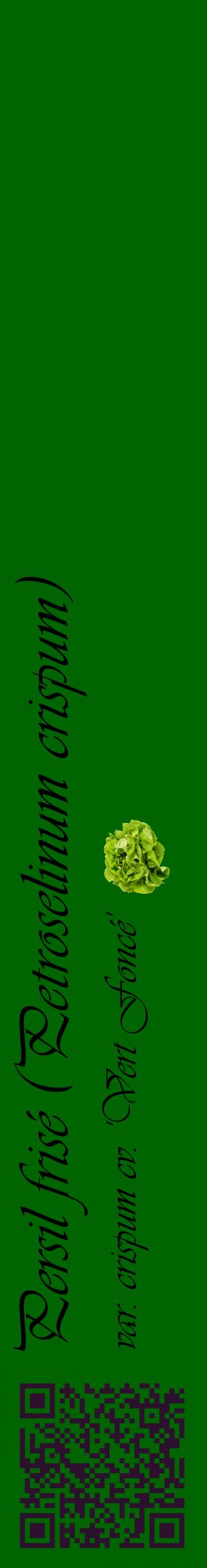 Étiquette de : Petroselinum crispum var. crispum cv. 'Vert Foncé' - format c - style noire8_basiqueviv avec qrcode et comestibilité simplifiée