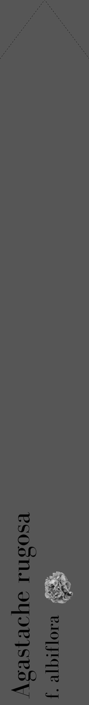 Étiquette de : Agastache rugosa f. albiflora - format c - style noire45_simple_simplebod avec comestibilité simplifiée - position verticale