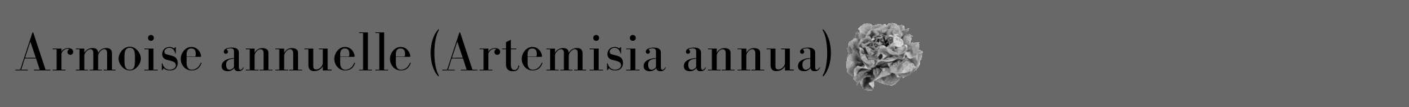 Étiquette de : Artemisia annua - format a - style noire43bod avec comestibilité simplifiée