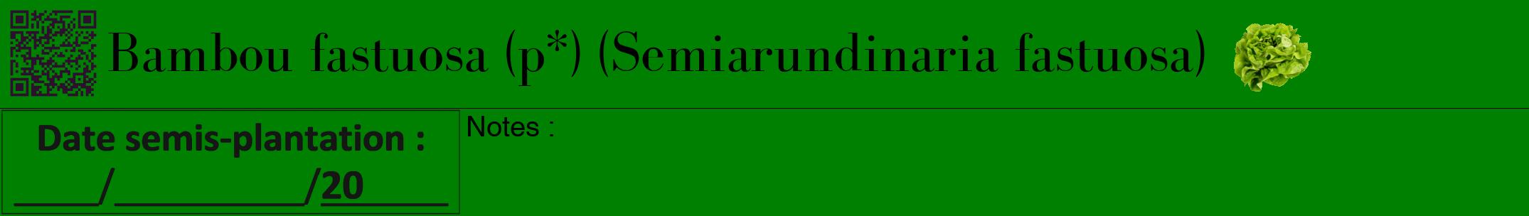 Étiquette de : Semiarundinaria fastuosa - format a - style noire9bod avec qrcode et comestibilité simplifiée