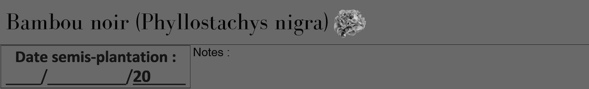 Étiquette de : Phyllostachys nigra - format a - style noire51bod avec comestibilité simplifiée