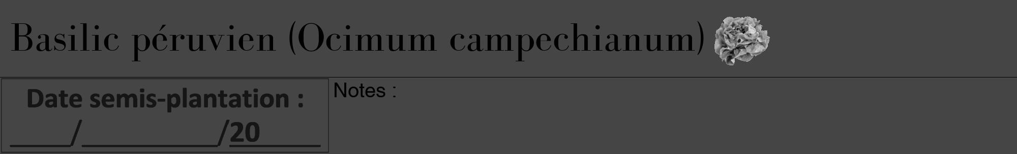 Étiquette de : Ocimum campechianum - format a - style noire58bod avec comestibilité simplifiée