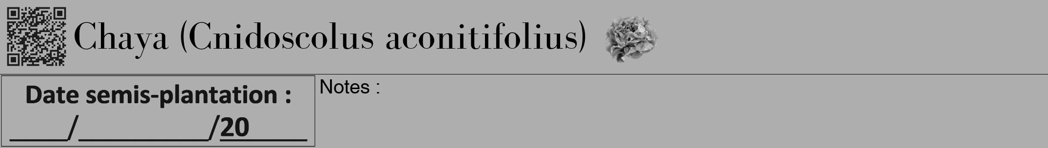 Étiquette de : Cnidoscolus aconitifolius - format a - style noire53bod avec qrcode et comestibilité simplifiée