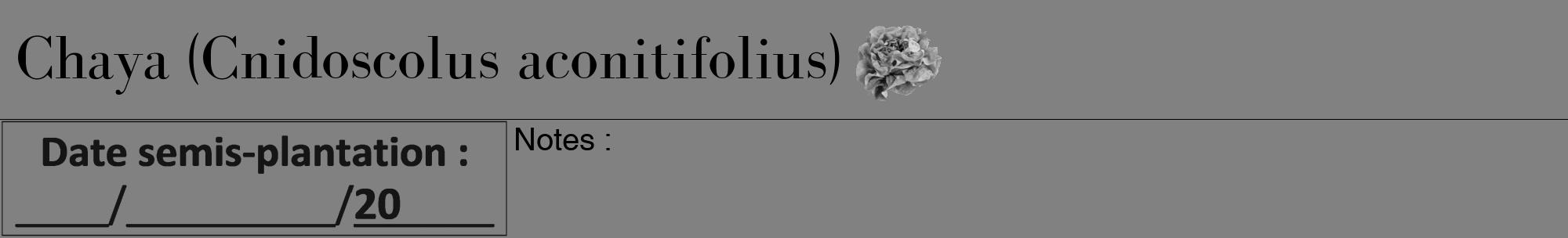Étiquette de : Cnidoscolus aconitifolius - format a - style noire50bod avec comestibilité simplifiée