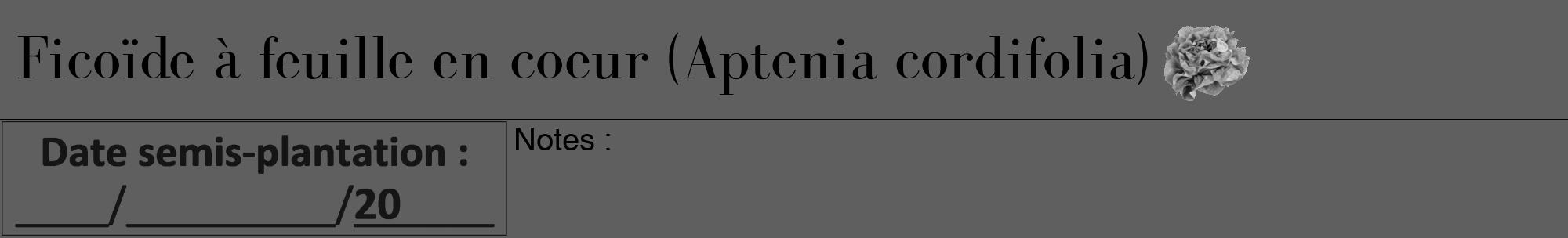 Étiquette de : Aptenia cordifolia - format a - style noire10bod avec comestibilité simplifiée