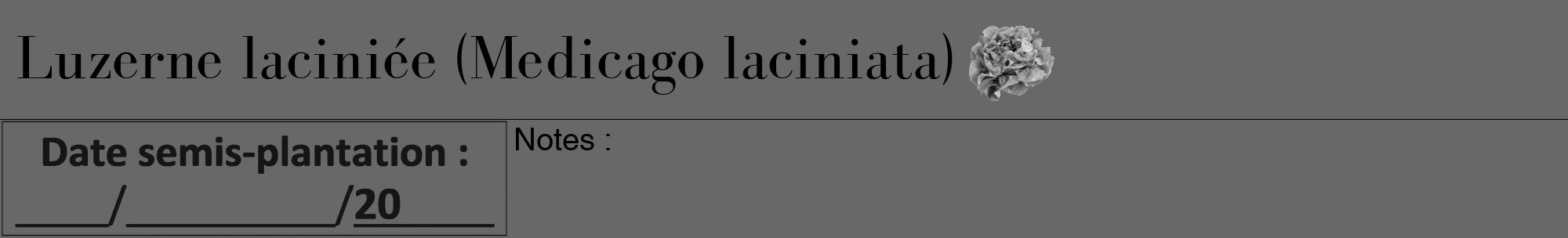 Étiquette de : Medicago laciniata - format a - style noire43bod avec comestibilité simplifiée