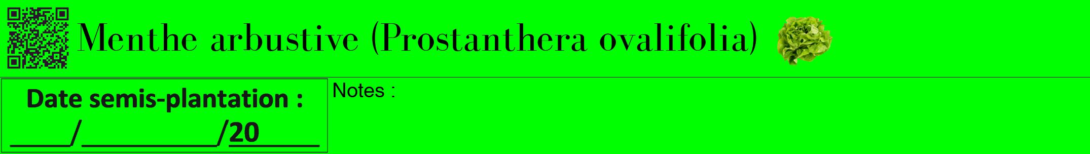 Étiquette de : Prostanthera ovalifolia - format a - style noire16bod avec qrcode et comestibilité simplifiée