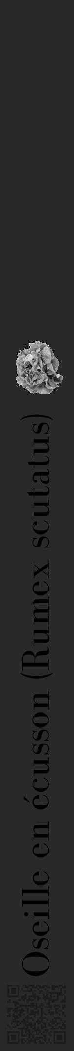 Étiquette de : Rumex scutatus - format a - style noire34bod avec qrcode et comestibilité simplifiée - position verticale
