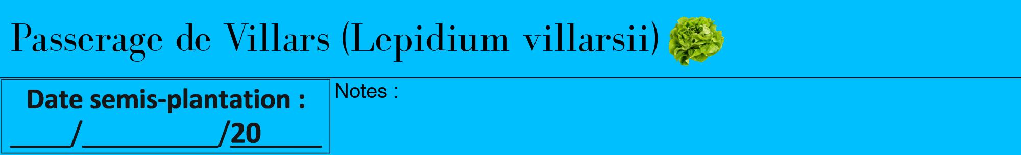 Étiquette de : Lepidium villarsii - format a - style noire2bod avec comestibilité simplifiée