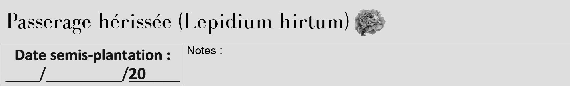 Étiquette de : Lepidium hirtum - format a - style noire20bod avec comestibilité simplifiée