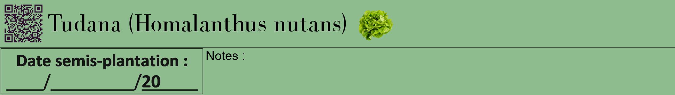 Étiquette de : Homalanthus nutans - format a - style noire13bod avec qrcode et comestibilité simplifiée
