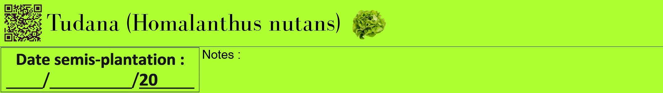 Étiquette de : Homalanthus nutans - format a - style noire17bod avec qrcode et comestibilité simplifiée
