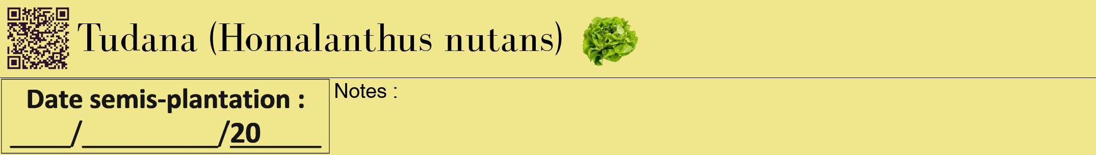 Étiquette de : Homalanthus nutans - format a - style noire20bod avec qrcode et comestibilité simplifiée