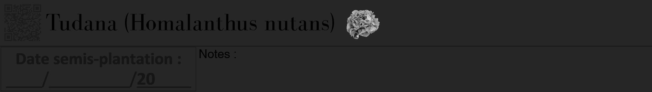 Étiquette de : Homalanthus nutans - format a - style noire29bod avec qrcode et comestibilité simplifiée