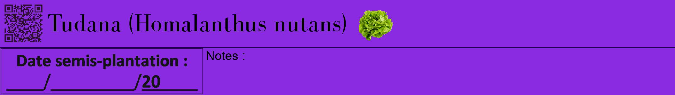 Étiquette de : Homalanthus nutans - format a - style noire49bod avec qrcode et comestibilité simplifiée