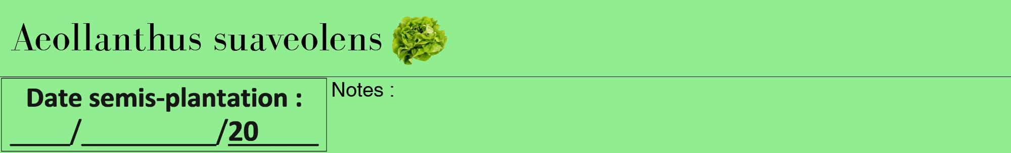 Étiquette de : Aeollanthus suaveolens - format a - style noire15bod avec comestibilité simplifiée