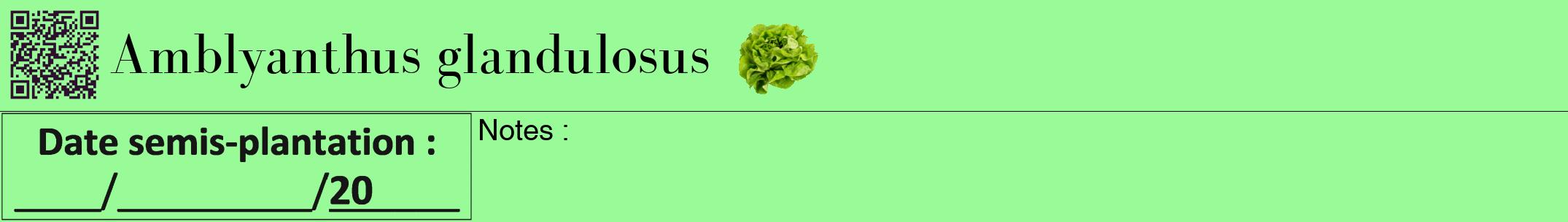Étiquette de : Amblyanthus glandulosus - format a - style noire14bod avec qrcode et comestibilité simplifiée